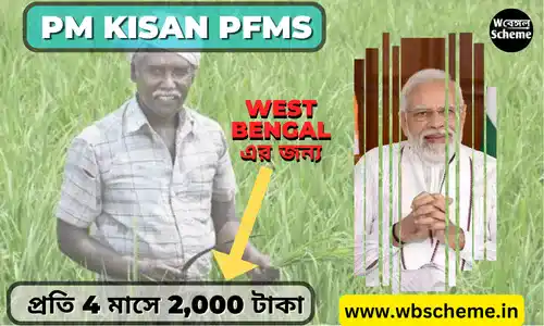 PM Kisan PFMS | How to Check PFMS Payment Status