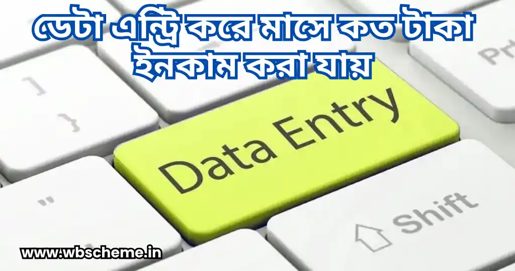 ডেটা এন্ট্রি কি, ডেটা এন্ট্রি করে মাসে কত টাকা ইনকাম করা যায়